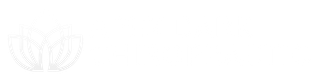 Apex Dark Chiropractic Logo